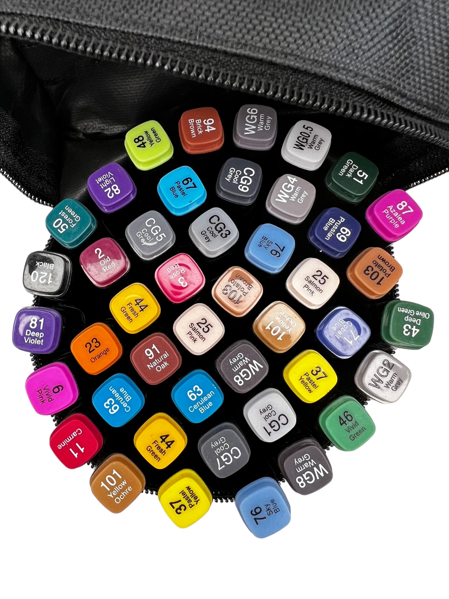 00D1B094-B583-4EAE-886C-BF65E4D3C6A2