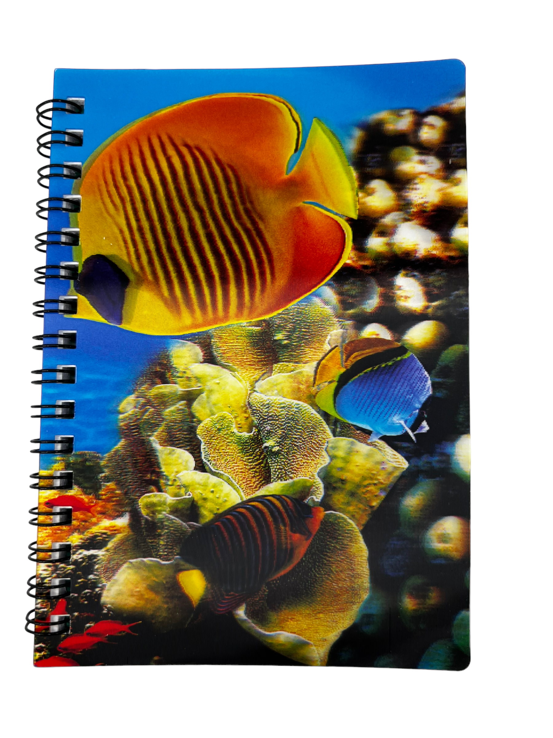 1ED60AB3-BF82-48F9-BDF9-7D206625391C