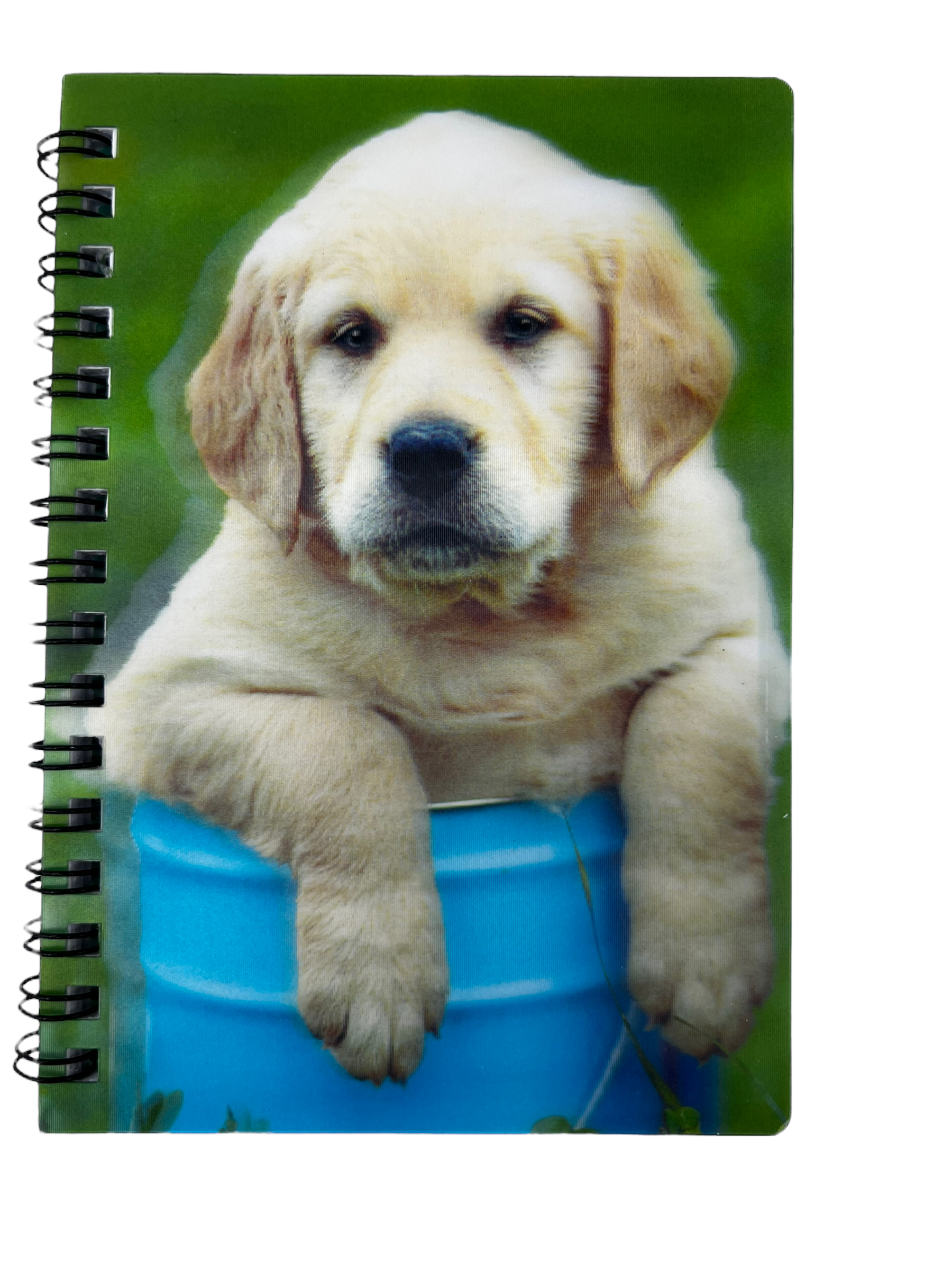 6535FB61-21C9-4F76-9B74-79DEB1E2B6A1