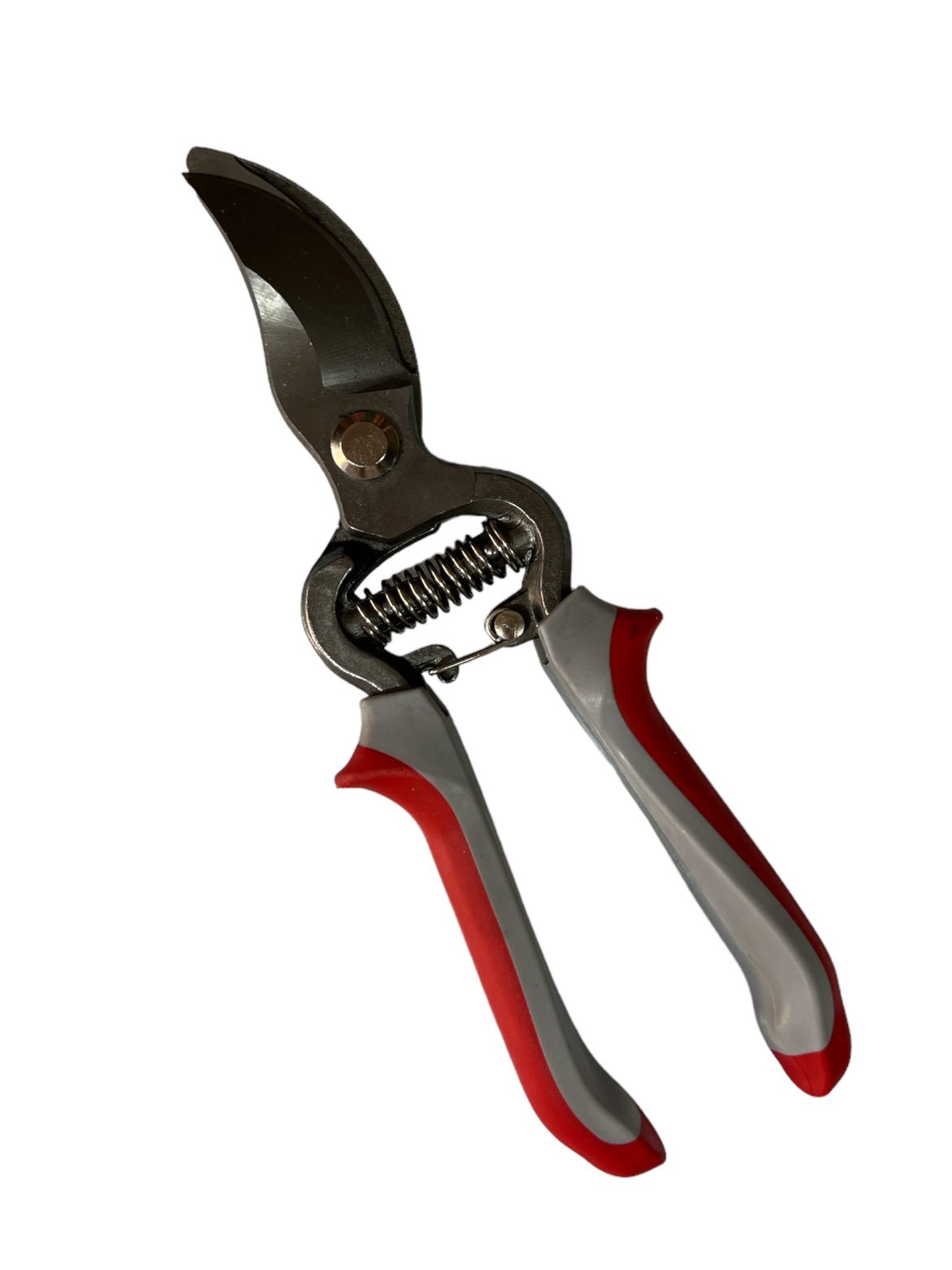 381049370_2025132511163517_3215522574385241291_n